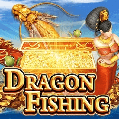 Câu Cá Rồng fly68